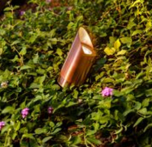 Uplighting Landscape Lighting